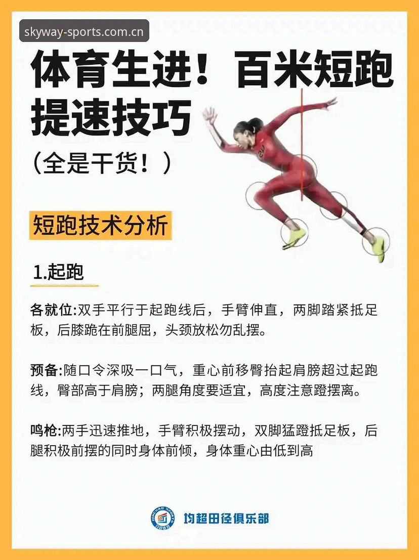 tyxxt体育官网入口 天行体育官网实用技巧:从新手到老鸟的赛事追踪必备知识